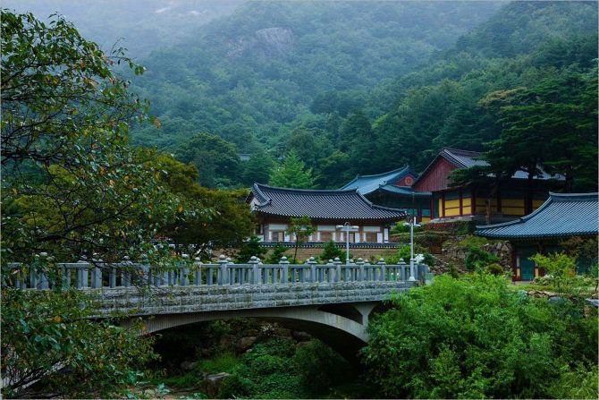 Insights Into Korean History And Learning Experiences 